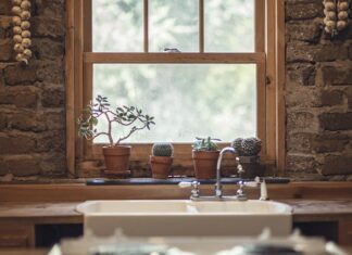 Czy czosnek odmładza? Czy czosnek odmładza?