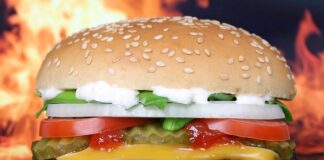 Czy do McDonald's można wejść z psem?