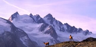 Co daje nam trekking?