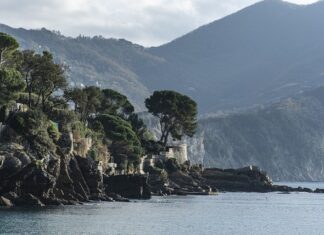 Ile kosztuje dobry robot planetarny?