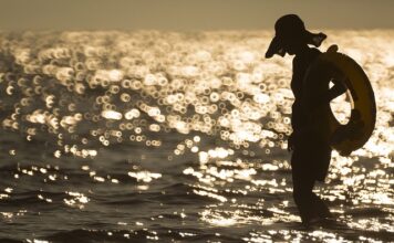 Jakiego koloru boją się sarny?