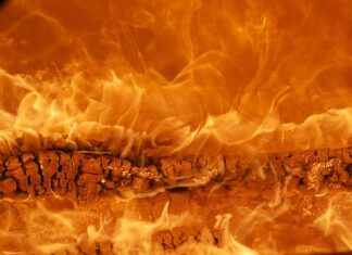 Co to za marka Kenwood?