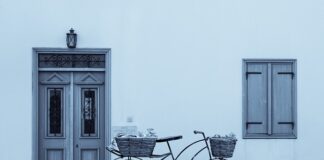 Kiedy nie wolno przycinać drzew? Kiedy nie wolno przycinać drzew?
